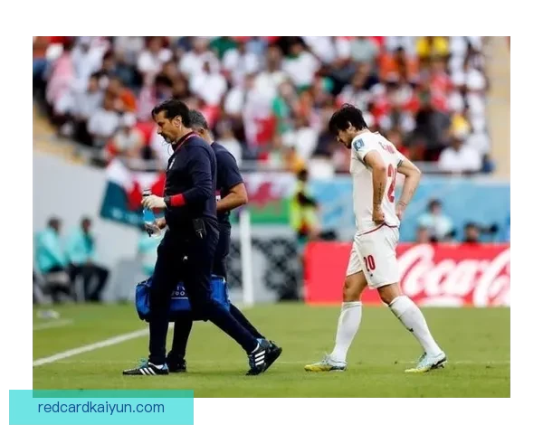 威尔士球迷热情高涨，期待团队在即将到来的预选赛中展现实力